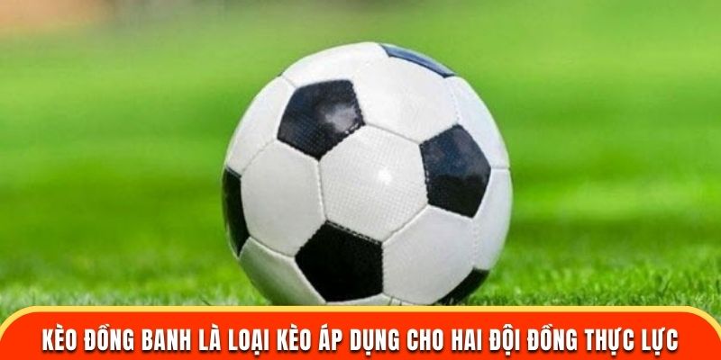 3 mẹo bắt kèo đồng banh hiệu quả và dễ thắng lớn