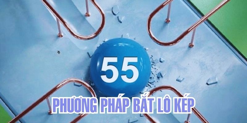 Phương pháp bắt kép theo 7.1 và 7.4